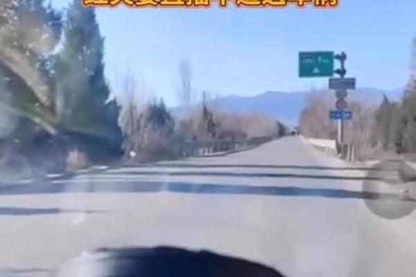 那些死于车祸的人，他们的命运究竟意味着什么？
