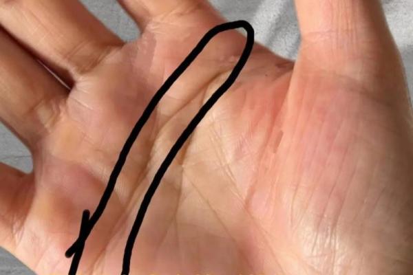 从一月到十二月：探索命运的变化与人生的秘密
