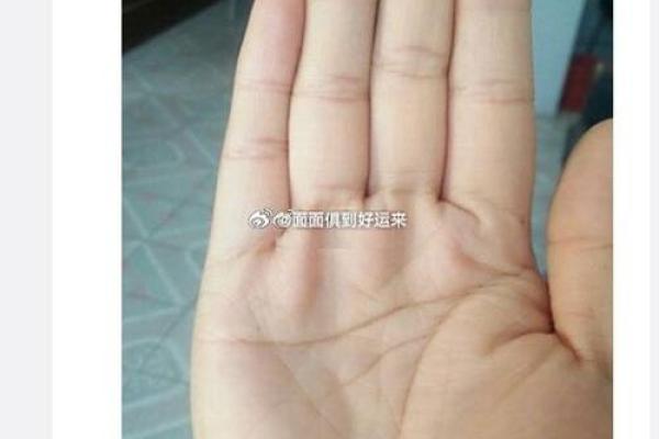 老年61岁是什么命？探寻生命的智慧与未来的光明