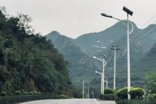 《还我命来》：一场关于生命与希望的心灵之旅