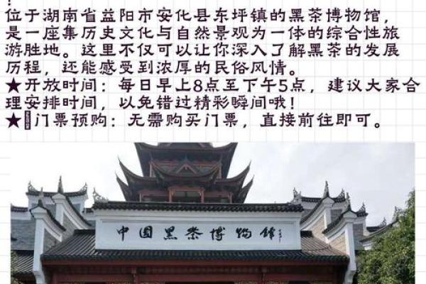 探索命运的奇迹：获命永恒的神秘特效解析