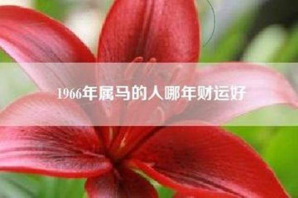 1966年出生的属马人：命运、性格与生活的启示