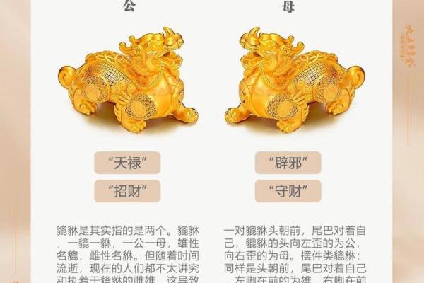 适合摆放貔貅的人群解析：如何招财纳福，提升运势！