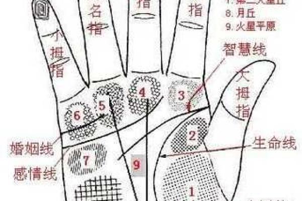断掌命理揭秘：看你命中带来的吉凶祸福！