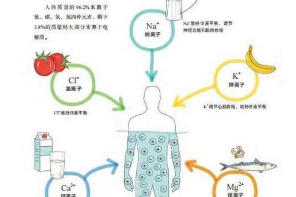 命理学入门：阅读这些经典书籍，轻松理解命运与人生的奥秘