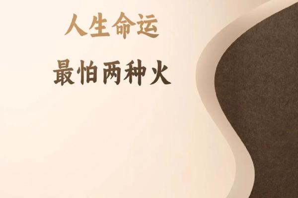 2007年属女的命运解析：如何抓住人生机遇与挑战