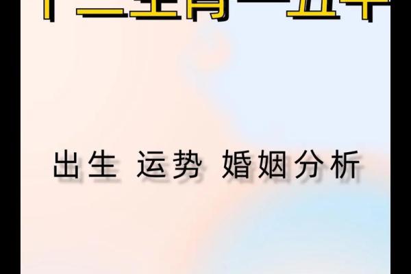 探索你的生肖命理：揭示属相背后的智慧与运势