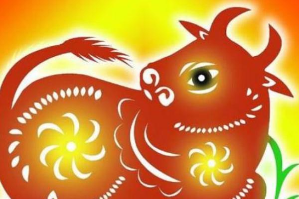 属牛金命者适合佩戴的吉祥饰物分析与推荐