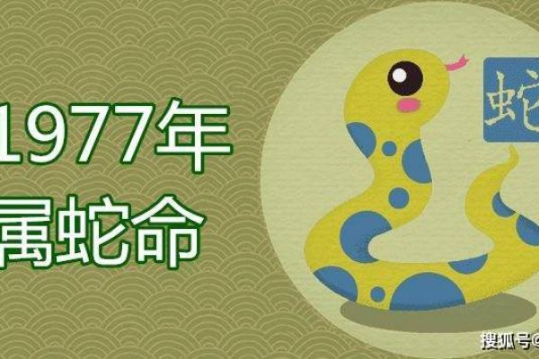 属蛇命理分析：金木水火五行对命运的影响与智慧启示