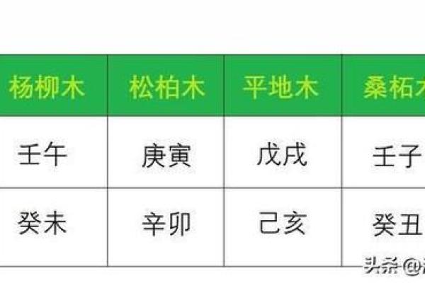 杨柳木命的人适合养什么？风水与植物搭配指南