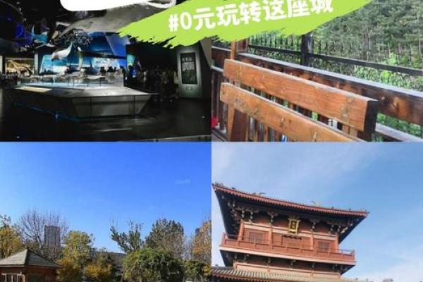 善财童子转世：解读命理与灵魂的奥秘之旅