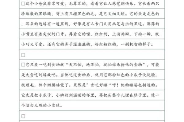 适合养仓鼠的人命格解析：如何选择陪伴的小伙伴