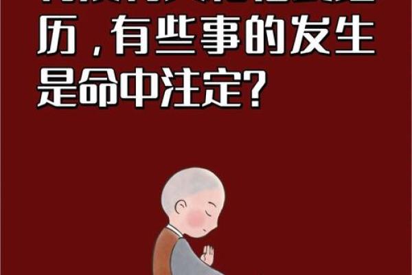 夏泽辉：透视名字背后的命理玄机与人生轨迹