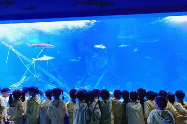 2019年1月1日出生的孩子,命运与未来的探索之旅 2019年1月1日出生的孩子,命运与未来的探索之旅