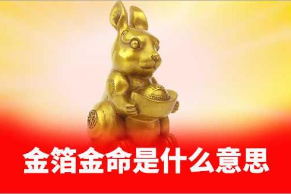 金铂金命与生肖的深刻关联：探秘命理中的璀璨元素