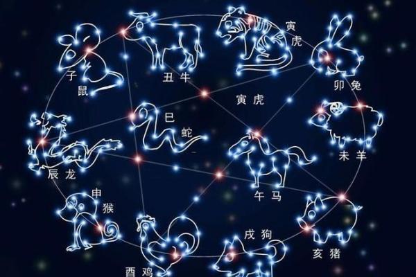 探索1975年兔年命运：兔子在生肖轮回中的神秘旅程