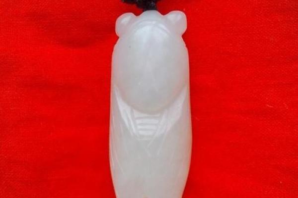 探秘童子命：如何选择合适的佩戴物品？