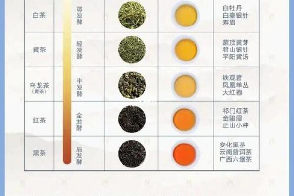 掌握饿水命的饮品选择，提升气场与健康!