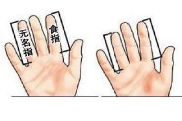 男性手指短的命运解读:如何影响你的生活与性格 男性手指短的命运解读:如何影响你的生活与性格