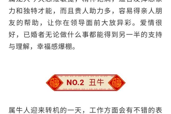 2023年的命运解析：十二生肖如何迎接这个特别的年份