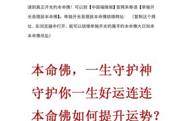 1941年属羊者的命运解析：探索温和与智慧的结晶