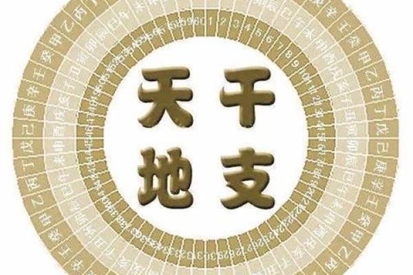 甲子日出生的人命运解析：探秘天干地支的奥秘与人生轨迹