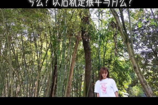 68年出生的猴子是什么命?揭秘猴年的命理特点与性格分析 68年出生的猴子是什么命?揭秘猴年的命理特点与性格分析