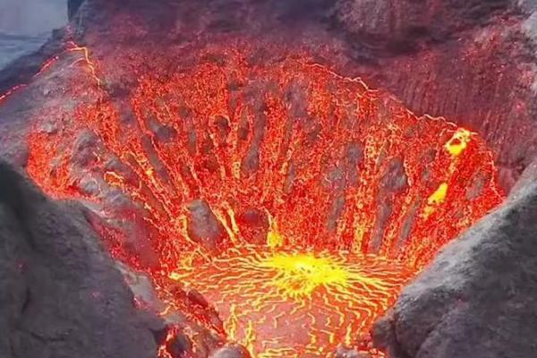 护命素：让您身体健康、活力满满的秘钥！