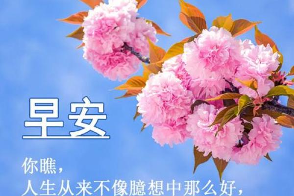 探索早晨出生之人的命运与特性：晨光中的命理揭秘