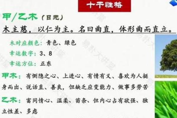 如何为木命取名：避开颜色的深思与选择