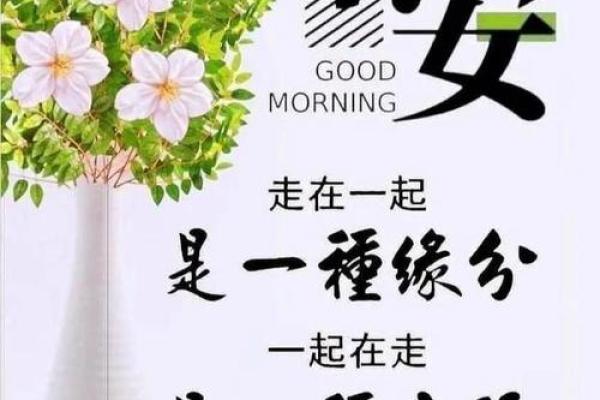 爱书如命：书籍给予我生命的另一种可能