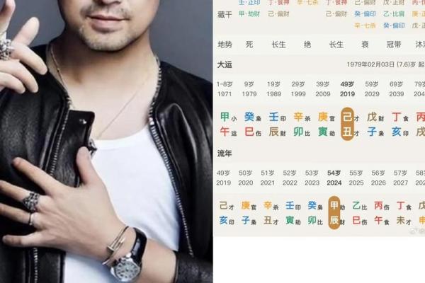 己酉年生人命运解析：了解你的性格与命理特征