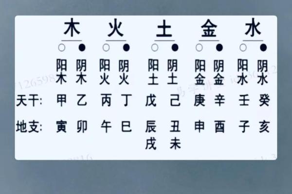 己酉年生人命运解析：了解你的性格与命理特征