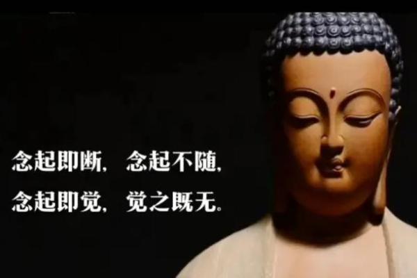 命里缺桃花，怎能破局？看这些方法助你转运！