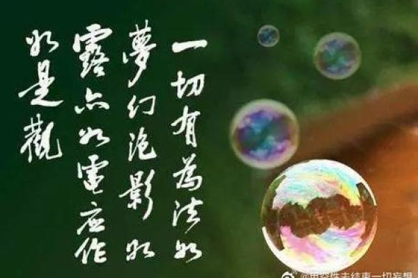 延续法身慧命，饮食对心灵的养护