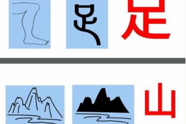 探寻汉字的魅力：音序与部首的奇妙结合
