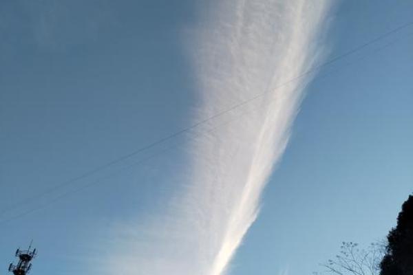 命格琳琅为何选择删除？背后的故事与思考