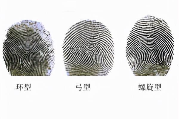 通过手指长短解析命运的奥秘，揭示个性与运势的奇妙关系