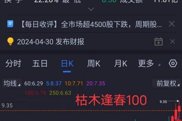 1979年属猪人命运解析：智慧与机会的双重考验