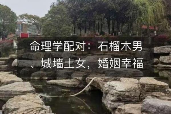 探索命理:夫妻最佳配对的秘诀与技巧 探索命理:夫妻最佳配对的秘诀与技巧