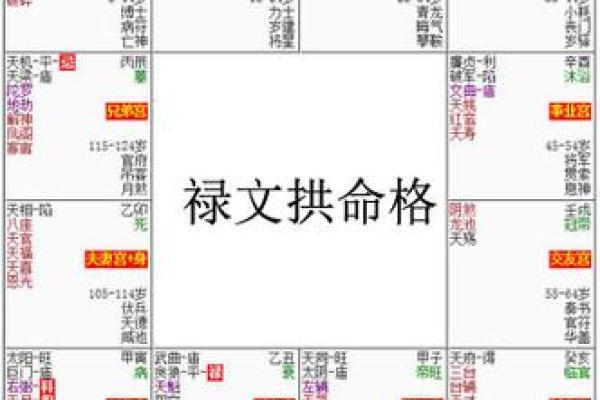 揭秘紫微命盘：为何它成为富豪们的致富秘密秘笈