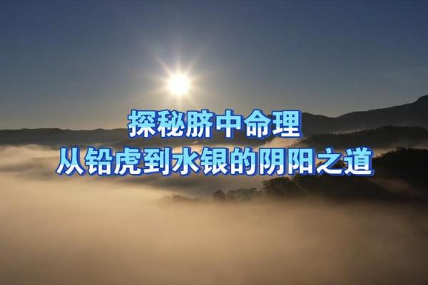 15号出生的人：命理探秘与人生机遇