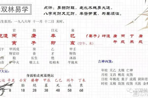 乙巳丙寅命格解析:揭示命运与性格的深层联系 乙巳丙寅命格解析:揭示命运与性格的深层联系