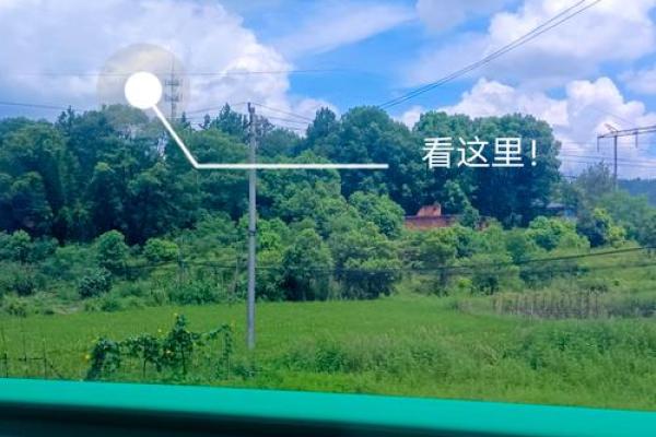 属猪寅时女孩的命运解析:她们的幸福与挑战 属猪寅时女孩的命运解析:她们的幸福与挑战