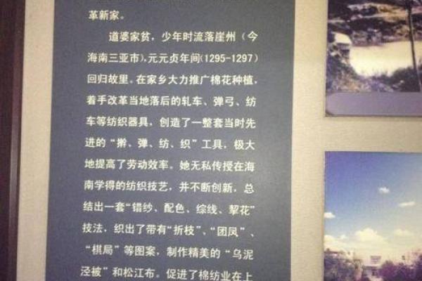 探索1977年11月4日出生者的命运与性格特征