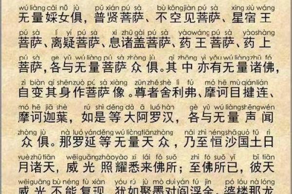 探索1977年11月4日出生者的命运与性格特征