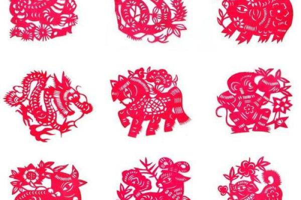 探讨34兔的命运：岁月与生肖的奇妙交织