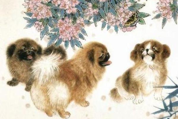 1996年属狗女性的命运与性格解析：优雅与坚韧的结合