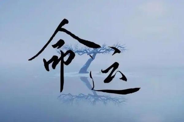 1976年出生的命运解析：寻找生命中的光芒与智慧