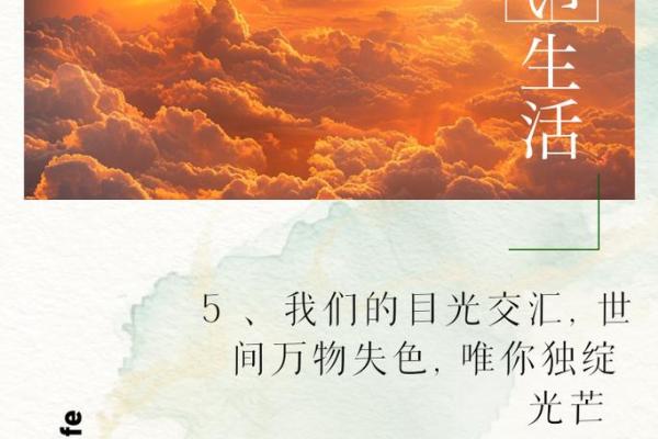 1976年出生的命运解析：寻找生命中的光芒与智慧